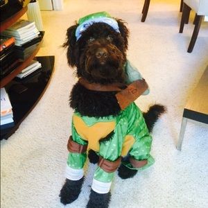 Rubies Teenage Mutant Ninja Turtles Pet Costume